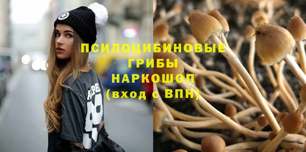 дмт Арсеньев
