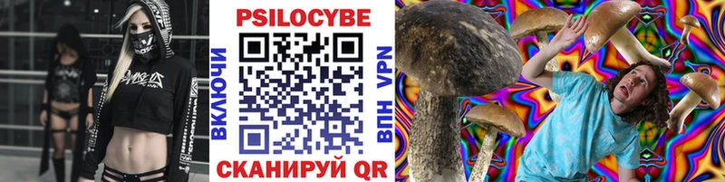как найти   Рузаевка  Псилоцибиновые грибы ЛСД 